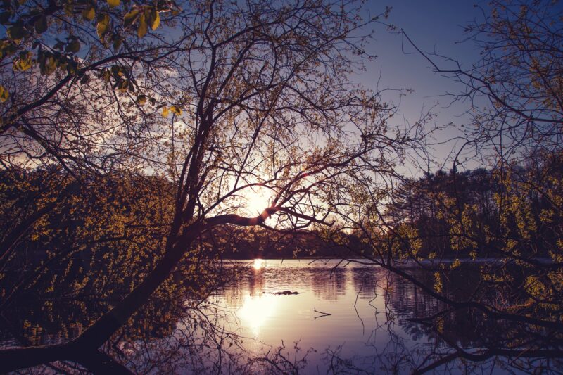 Thinking Aloud: Creation & Spirituality